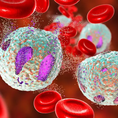 Trouver un cabinet de courtage sp�cialis� en risque aggrav� pathologie digestive � Marseille dans les Bouches-du-Rh�ne 13