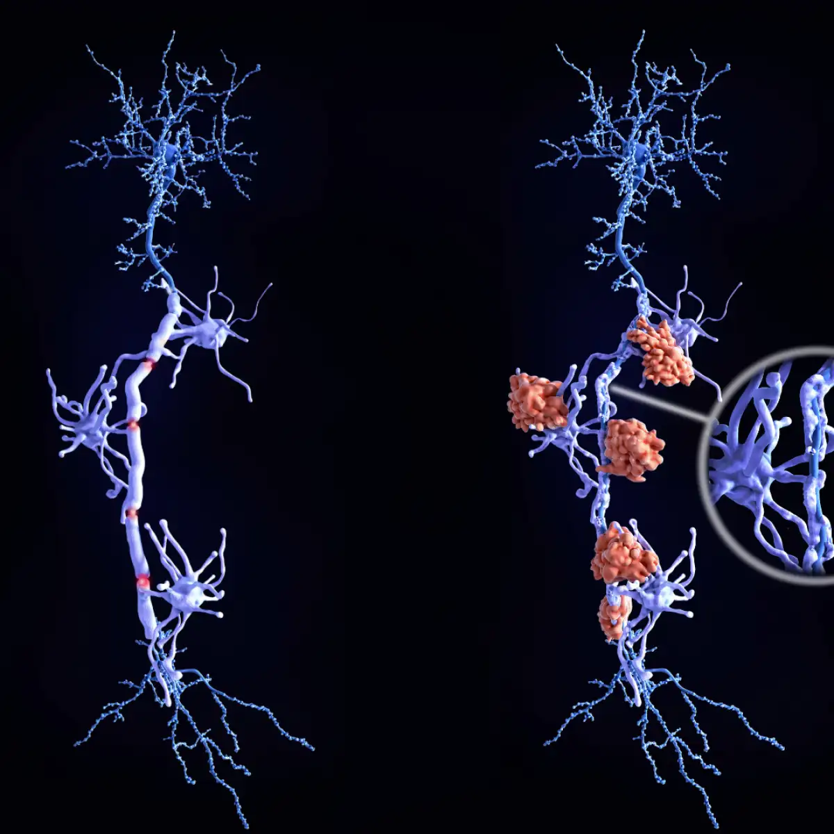 courtier en assurance toulon