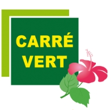 Création de jardins et élagage Carré vert service Toulon